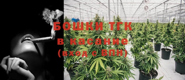 стафф Беломорск