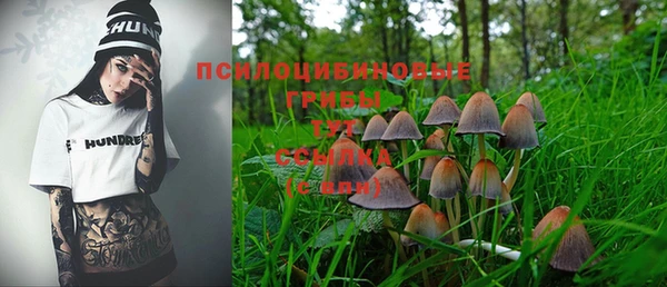 прущая мука Белокуриха