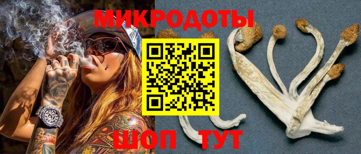 Псилоцибиновые грибы мицелий Гудермес