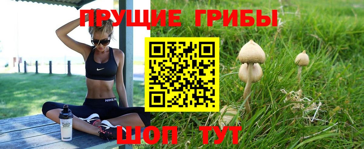 Галлюциногенные грибы MAGIC MUSHROOMS  Вход с VPN  Гудермес  Псилоцибиновые грибы прущие грибы 