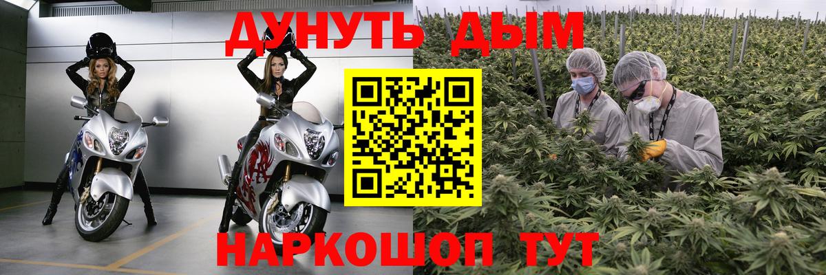 Бошки Шишки Ganja  Гудермес  Марихуана Ganja  Марихуана Ganja 